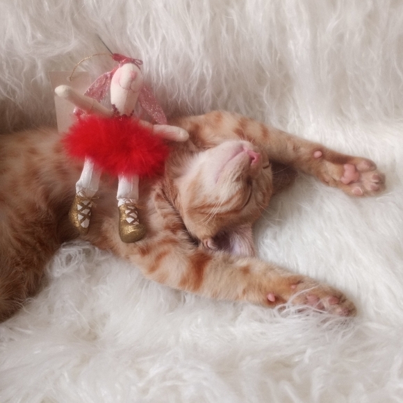 Make an offer week - Picture 9 of 11